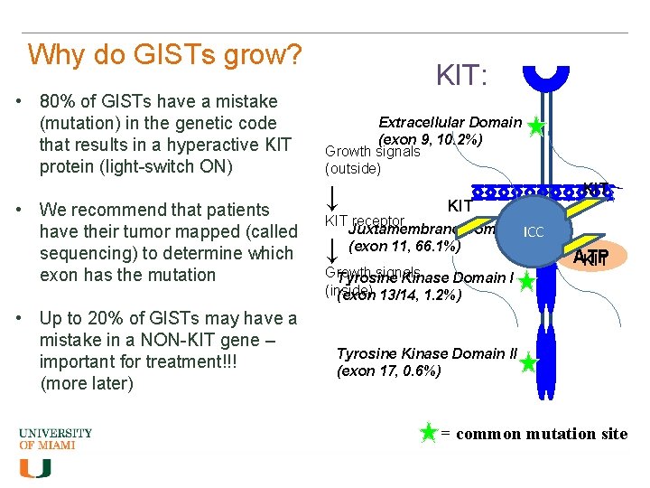 Why do GISTs grow? • 80% of GISTs have a mistake (mutation) in the