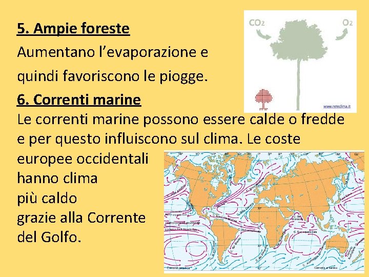 5. Ampie foreste Aumentano l’evaporazione e quindi favoriscono le piogge. 6. Correnti marine Le