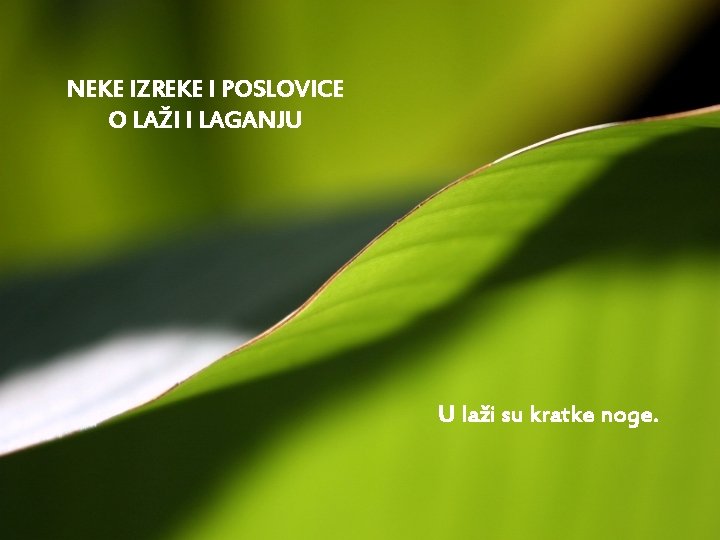 NEKE IZREKE I POSLOVICE O LAŽI I LAGANJU U laži su kratke noge. 