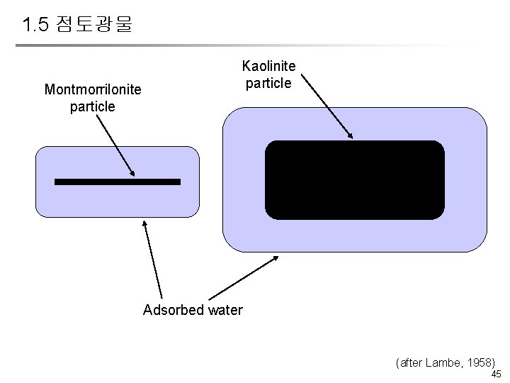 1. 5 점토광물 Montmorrilonite particle Kaolinite particle Adsorbed water (after Lambe, 1958) 45 
