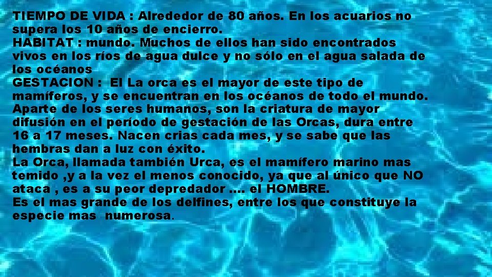 TIEMPO DE VIDA : Alrededor de 80 años. En los acuarios no supera los