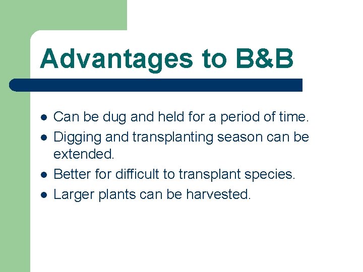 Advantages to B&B l l Can be dug and held for a period of