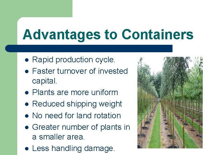 Advantages to Containers l l l l Rapid production cycle. Faster turnover of invested