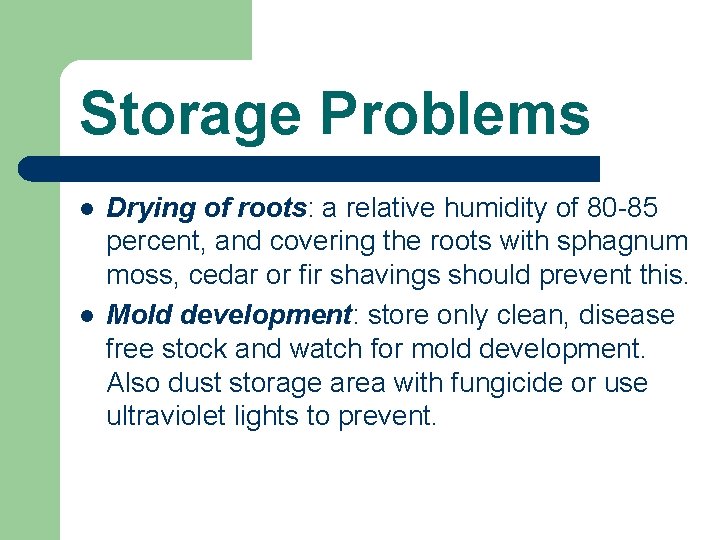 Storage Problems l l Drying of roots: a relative humidity of 80 -85 percent,