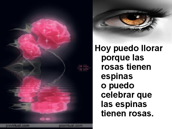 Hoy puedo llorar porque las rosas tienen espinas o puedo celebrar que las espinas