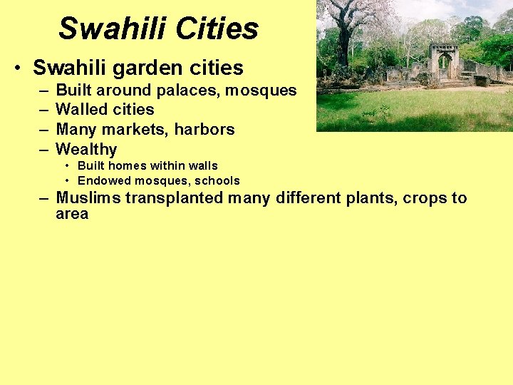 Swahili Cities • Swahili garden cities – – Built around palaces, mosques Walled cities