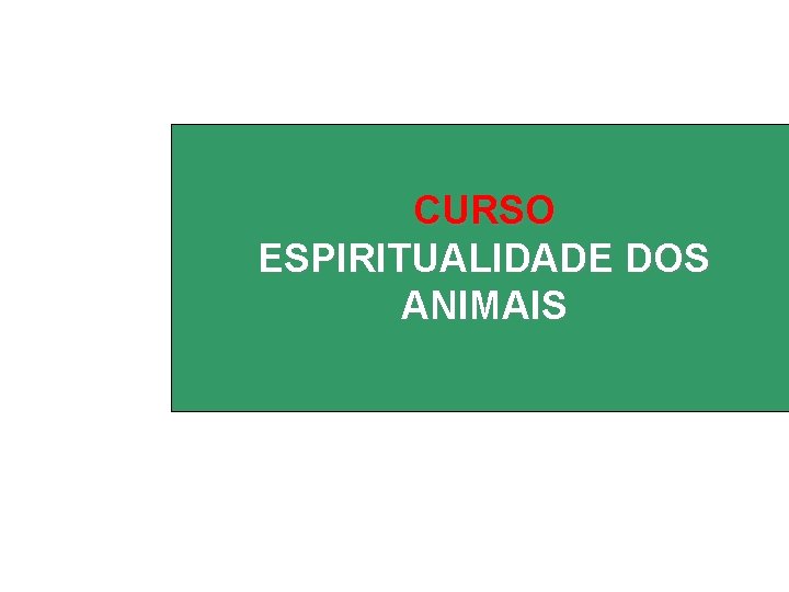 CURSO ESPIRITUALIDADE DOS ANIMAIS 