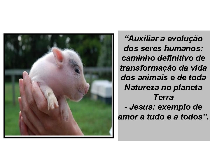 “Auxiliar a evolução dos seres humanos: caminho definitivo de transformação da vida dos animais
