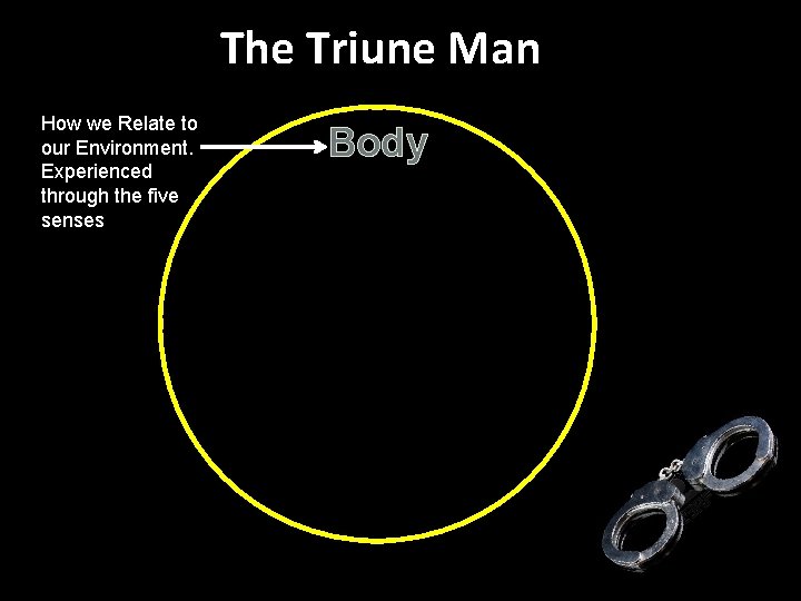 The Triune Man How we Relate to our Environment. Experienced through the five senses