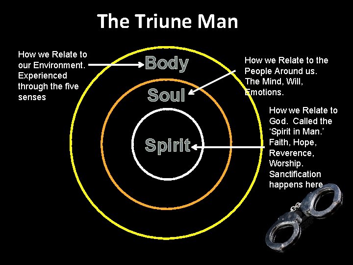 The Triune Man How we Relate to our Environment. Experienced through the five senses