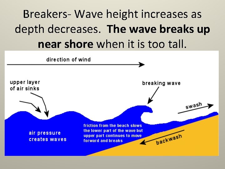 Breakers- Wave height increases as depth decreases. The wave breaks up near shore when Breakers- Wave height increases as depth decreases. The wave breaks up near shore when
