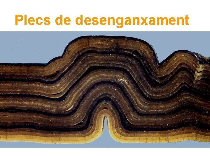 Plecs de desenganxament 