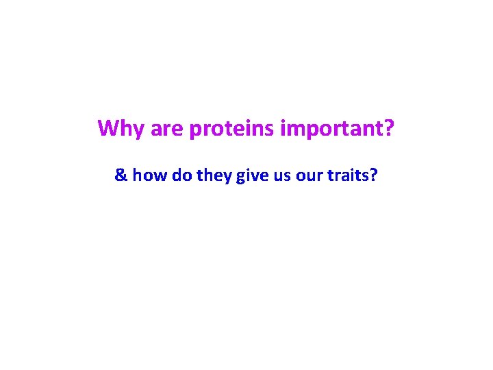 Why are proteins important? & how do they give us our traits? 