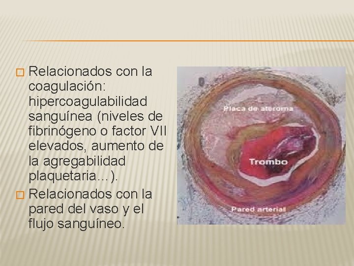 Relacionados con la coagulación: hipercoagulabilidad sanguínea (niveles de fibrinógeno o factor VII elevados, aumento
