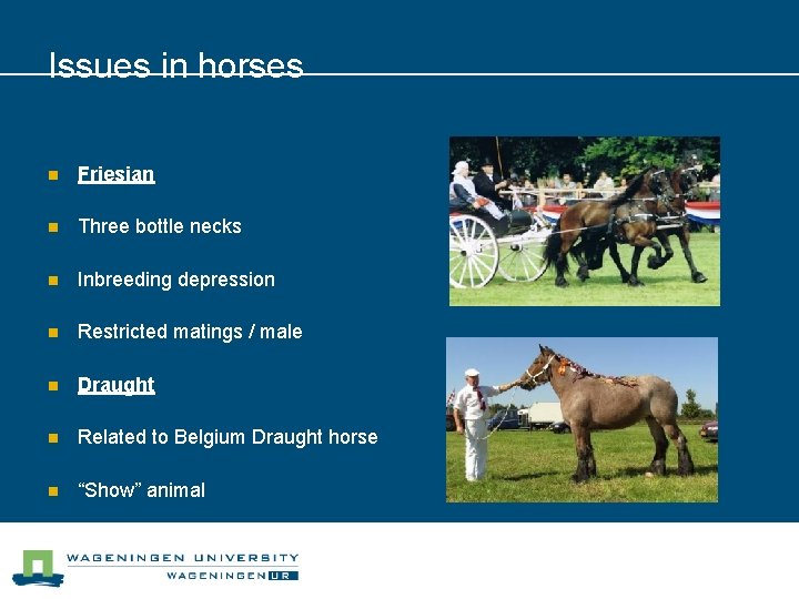 Issues in horses n Friesian n Three bottle necks n Inbreeding depression n Restricted