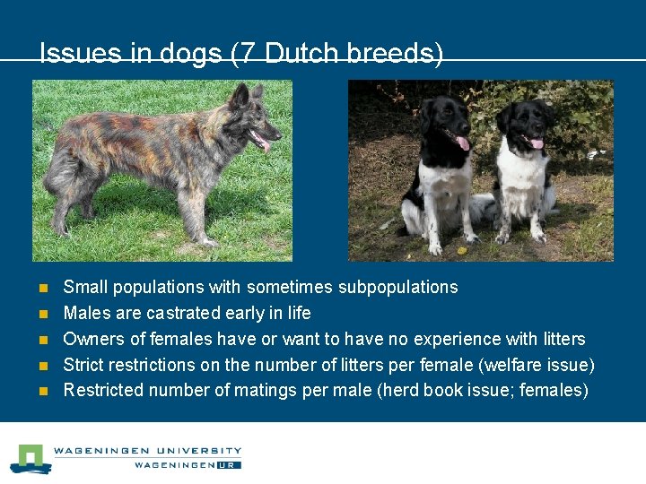 Issues in dogs (7 Dutch breeds) n n n Small populations with sometimes subpopulations