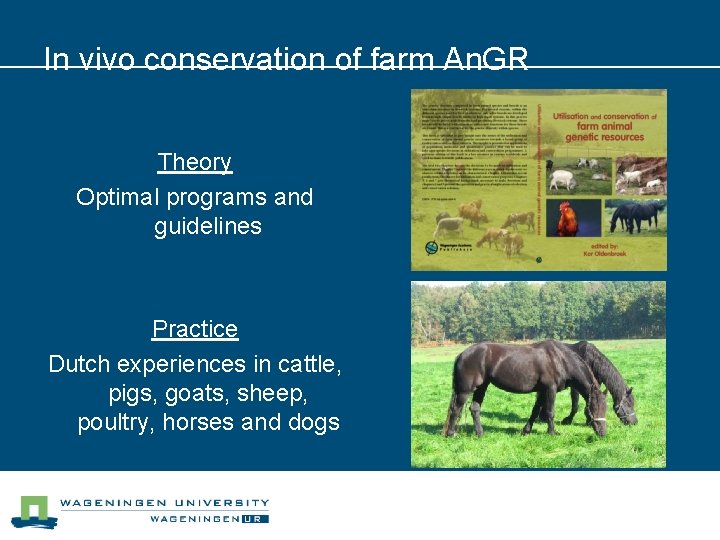 In vivo conservation of farm An. GR Theory Optimal programs and guidelines Practice Dutch