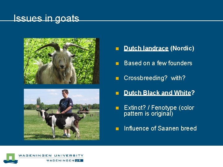 Issues in goats n Dutch landrace (Nordic) n Based on a few founders n