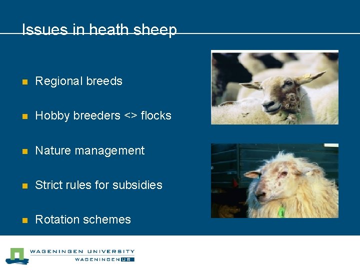 Issues in heath sheep n Regional breeds n Hobby breeders <> flocks n Nature