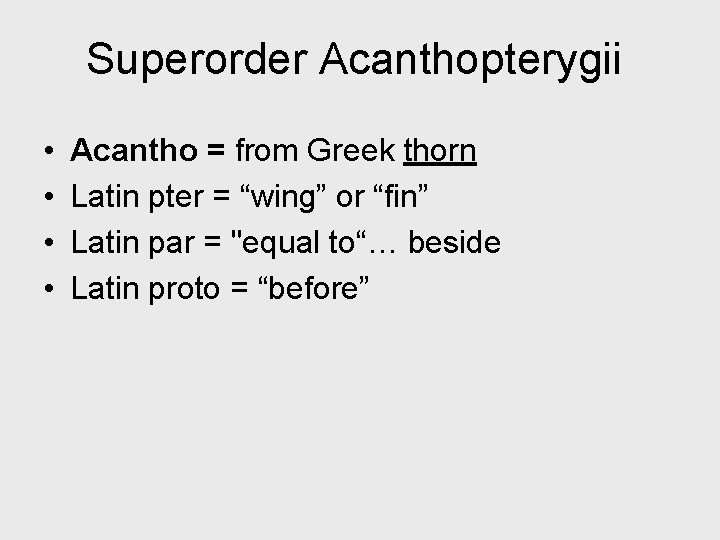 Superorder Acanthopterygii • • Acantho = from Greek thorn Latin pter = “wing” or