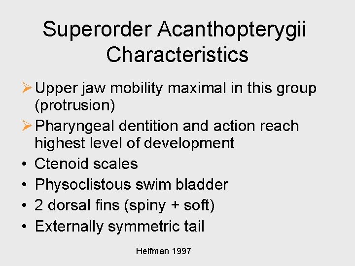 Superorder Acanthopterygii Characteristics Ø Upper jaw mobility maximal in this group (protrusion) Ø Pharyngeal