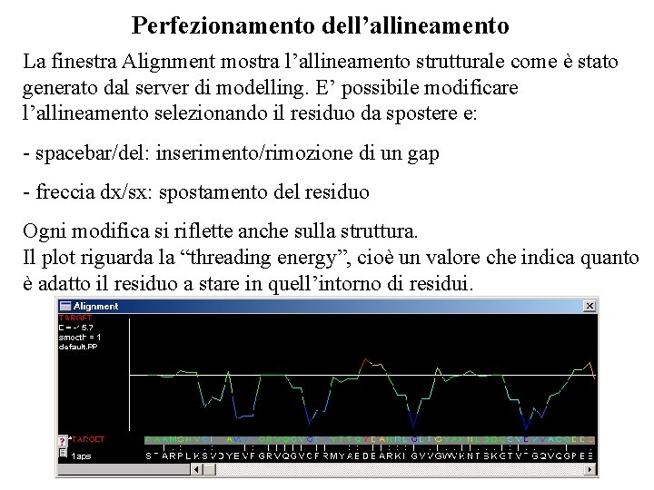 Perfezionamento dell’allineamento La finestra Alignment mostra l’allineamento strutturale come è stato generato dal server