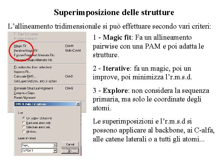 Superimposizione delle strutture L’allineamento tridimensionale si può effettuare secondo vari criteri: 1 - Magic