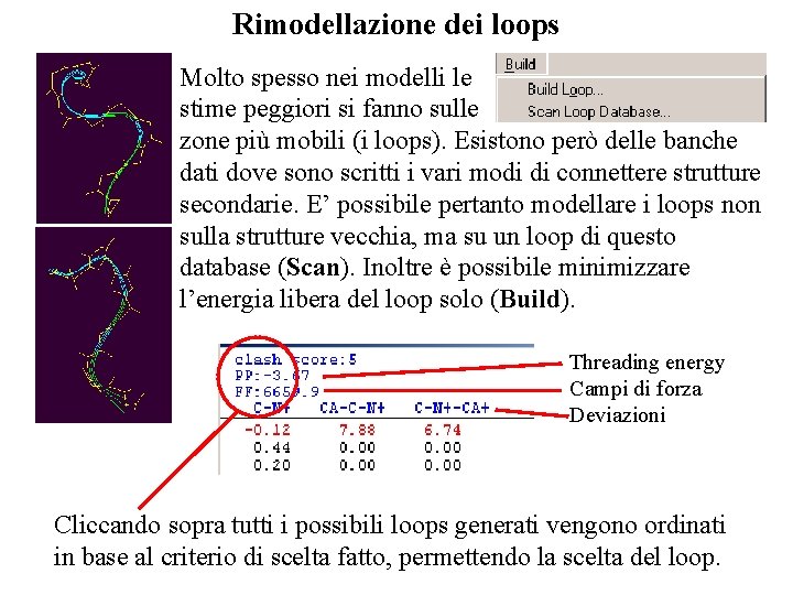 Rimodellazione dei loops Molto spesso nei modelli le stime peggiori si fanno sulle zone