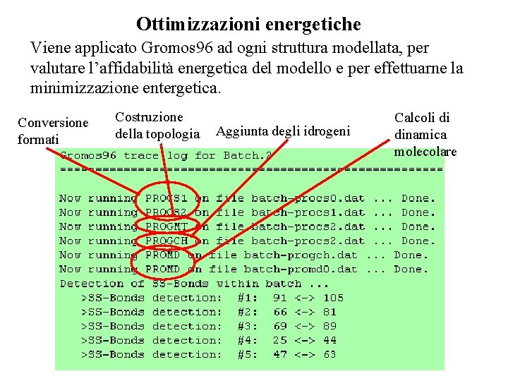 Ottimizzazioni energetiche Viene applicato Gromos 96 ad ogni struttura modellata, per valutare l’affidabilità energetica