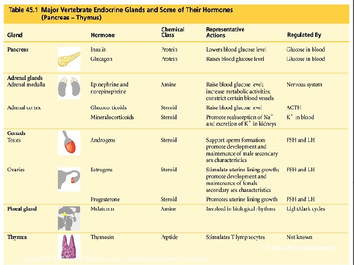 Table 45. 1 (continued) Copyright © 2002 Pearson Education, Inc. , publishing as Benjamin
