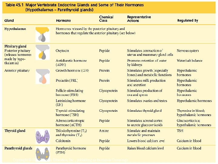 Copyright © 2002 Pearson Education, Inc. , publishing as Benjamin Cummings 