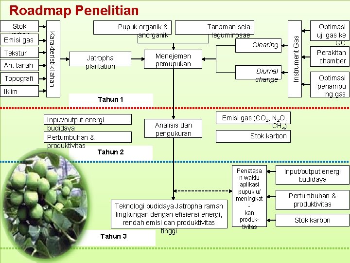 Roadmap Penelitian Topografi Pupuk organik & anorganik Tanaman sela leguminosae Instrument Gas Tekstur tanah