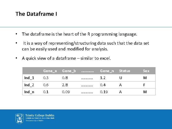 The Dataframe I • The dataframe is the heart of the R programming language.
