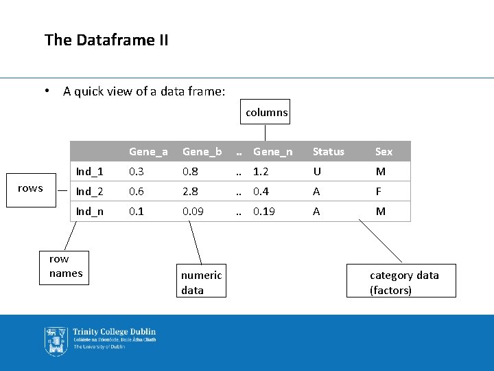 The Dataframe II • A quick view of a data frame: columns rows Gene_a