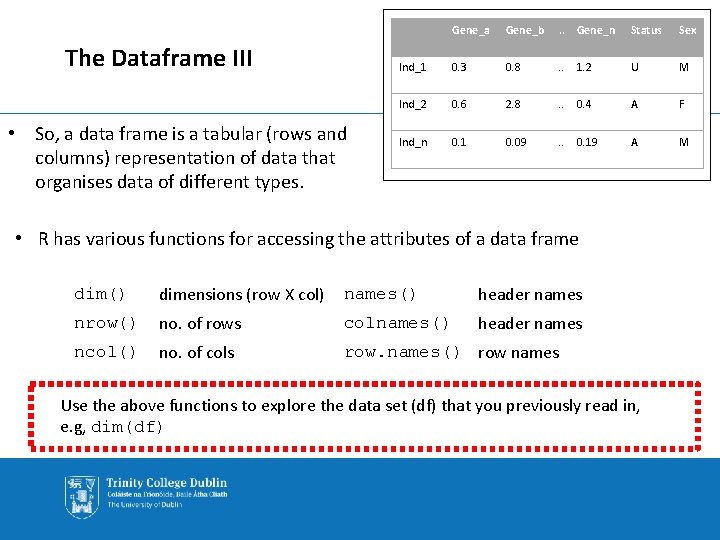 The Dataframe III • So, a data frame is a tabular (rows and columns)