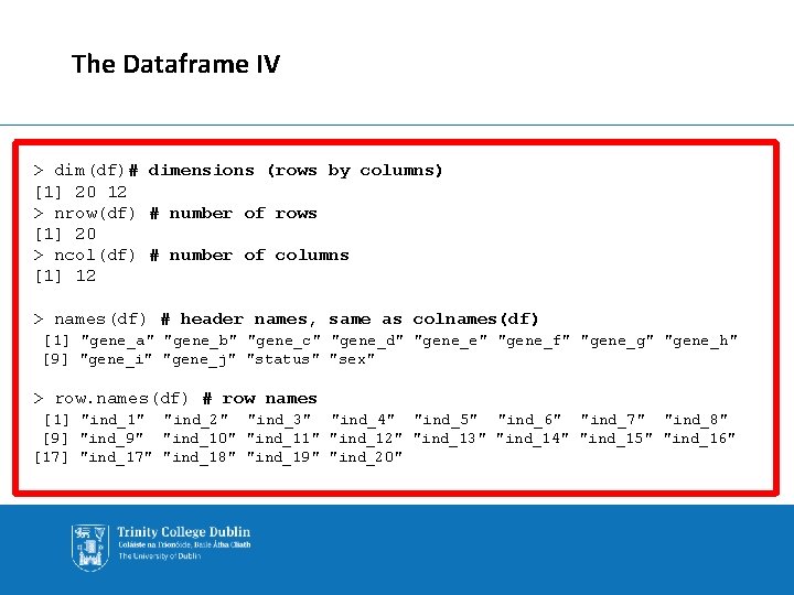 The Dataframe IV > dim(df)# dimensions (rows by columns) [1] 20 12 > nrow(df)