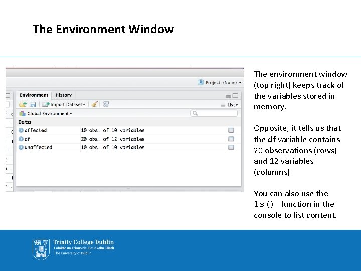 The Environment Window The environment window (top right) keeps track of the variables stored