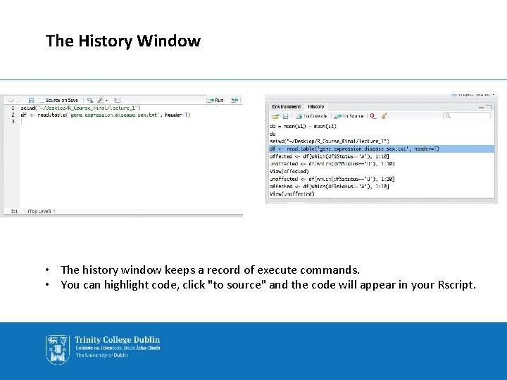 The History Window • The history window keeps a record of execute commands. •