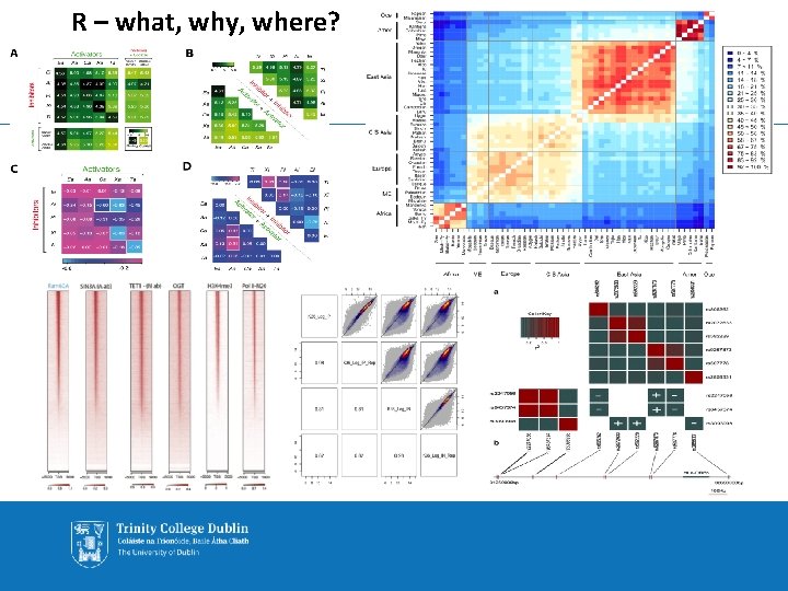 R – what, why, where? 