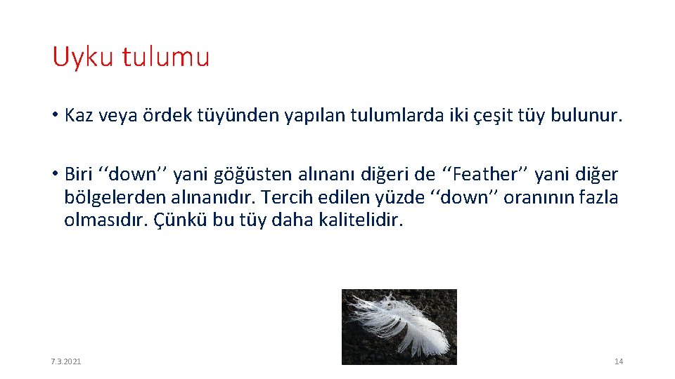 Uyku tulumu • Kaz veya ördek tüyünden yapılan tulumlarda iki çeşit tüy bulunur. •