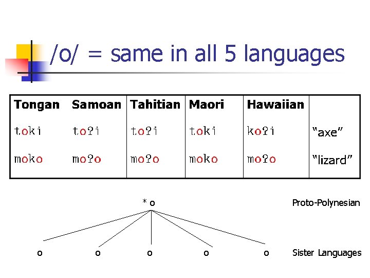 /o/ = same in all 5 languages *o o Proto-Polynesian o o Sister Languages