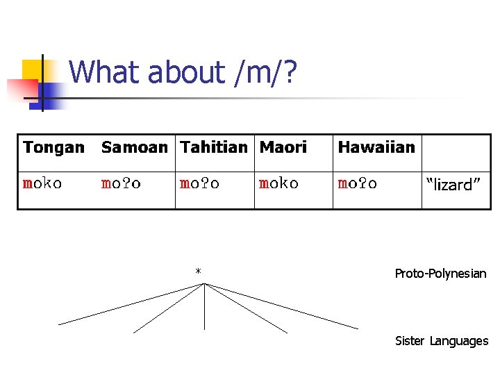 What about /m/? * Proto-Polynesian Sister Languages 