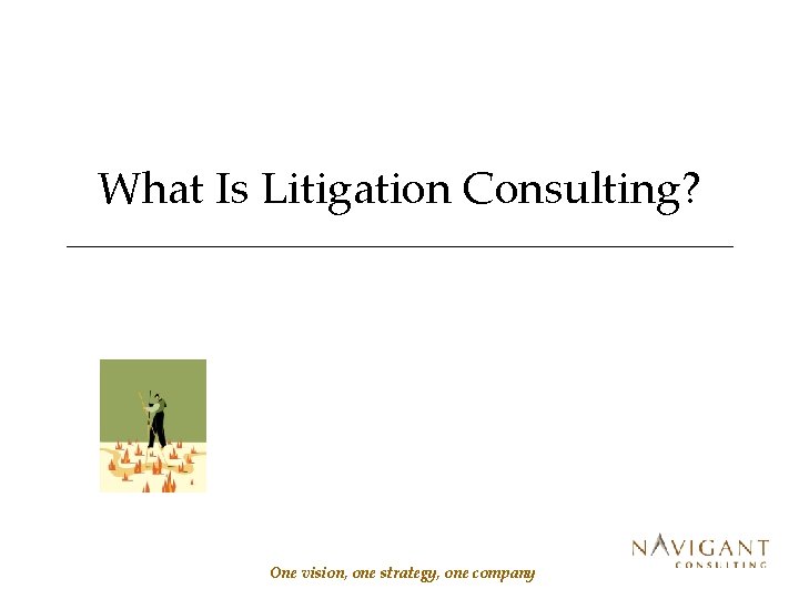 What Is Litigation Consulting? One vision, one strategy, one company 