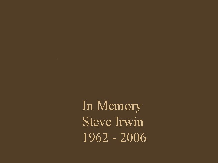 Getty Images In Memory Steve Irwin 1962 - 2006 