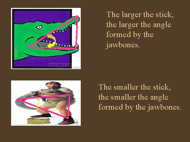 The larger the stick, the larger the angle formed by the jawbones. The smaller