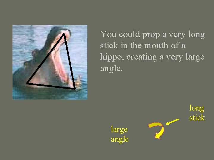 You could prop a very long stick in the mouth of a hippo, creating You could prop a very long stick in the mouth of a hippo, creating