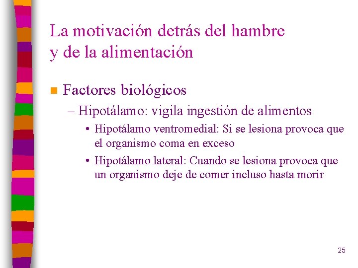 La motivación detrás del hambre y de la alimentación n Factores biológicos – Hipotálamo: