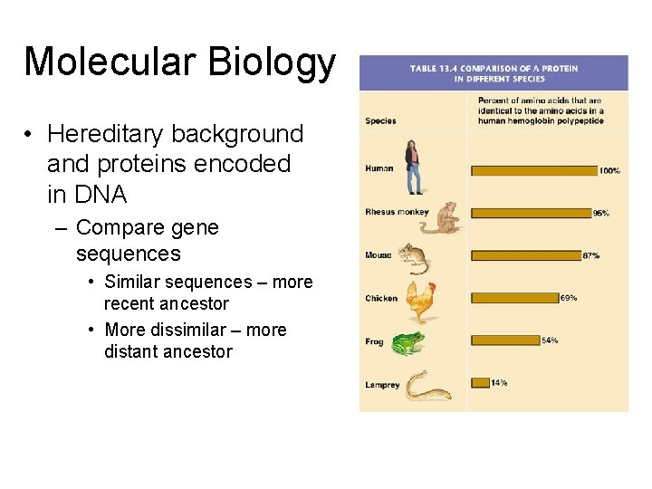 Molecular Biology • Hereditary background and proteins encoded in DNA – Compare gene sequences