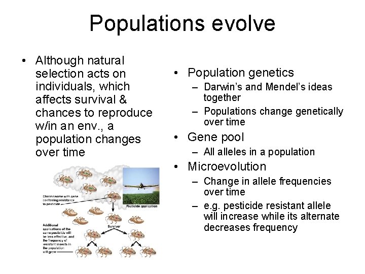 Populations evolve • Although natural selection acts on individuals, which affects survival & chances