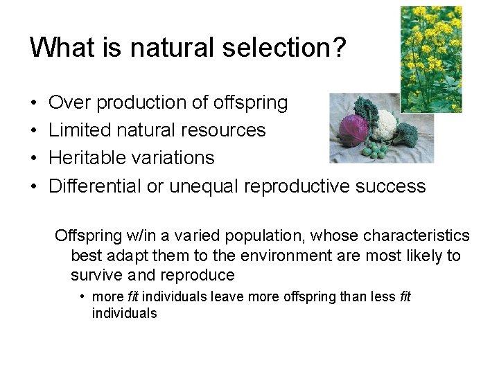 What is natural selection? • • Over production of offspring Limited natural resources Heritable